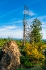Unnenberg _2